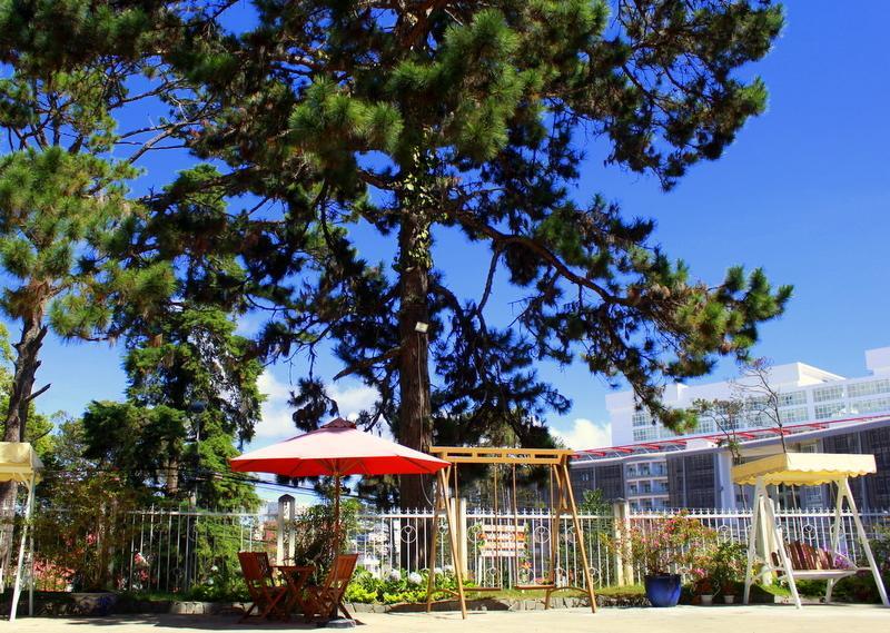 Thong Do Da Lat Hotel Dalat Exteriér fotografie